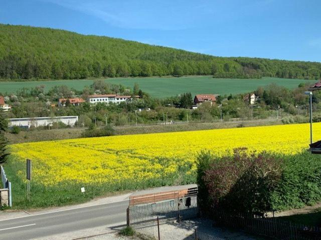 Ferienwohnung Werratal Obermassfeld-Grimmenthal Esterno foto
